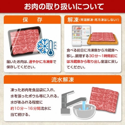 宮崎牛赤身スライス 計800g(日南市)