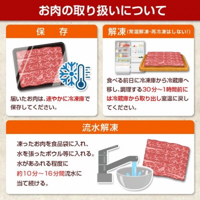 宮崎牛赤身焼肉 計400g(日南市)
