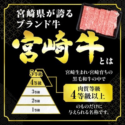 宮崎牛赤身焼肉 計1.6kg(日南市)