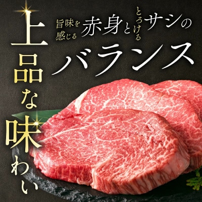 【数量限定】宮崎牛ヒレステーキ計300g(日南市)