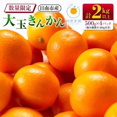 【先行予約】食べ応え抜群 大玉 きんかん 計2kg以上 傷み補償分付き