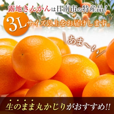 【先行予約】食べ応え抜群 大玉 きんかん 計2kg以上 傷み補償分付き