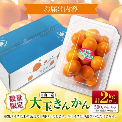 【先行予約】食べ応え抜群 大玉 きんかん 計2kg以上 傷み補償分付き