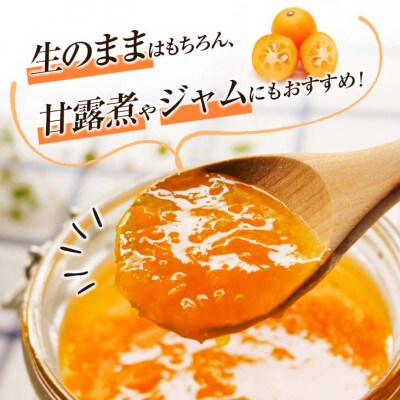【先行予約】ひなたきんかん 計3kg以上 傷み補償分100g付き