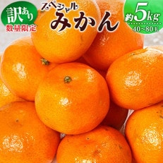 訳あり 数量限定 スペシャルみかん 約5kg 期間限定