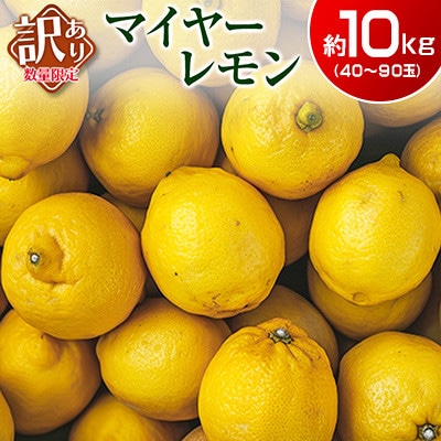 訳あり 数量限定 マイヤーレモン 約10kg
