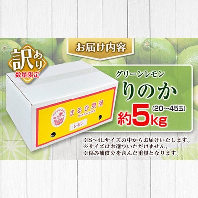 訳あり 数量限定 グリーンレモン りのか 約5kg 期間限定