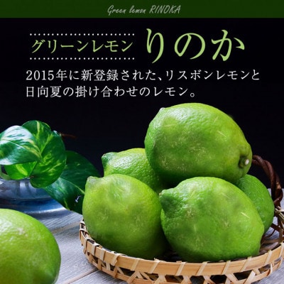 訳あり 数量限定 グリーンレモン りのか 約10kg 期間限定