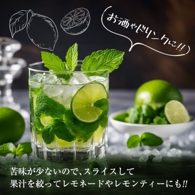 訳あり 数量限定 グリーンレモン りのか 約10kg 期間限定