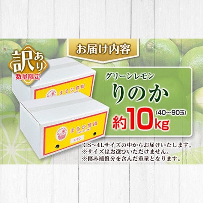 訳あり 数量限定 グリーンレモン りのか 約10kg 期間限定