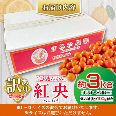 訳あり 数量限定 完熟きんかん 紅央 約3kg 傷み補償分100g付き