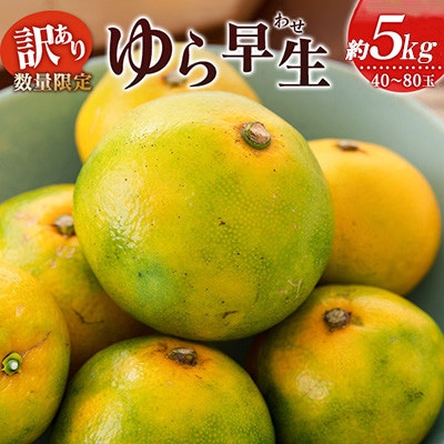 訳あり 数量限定 極早生 みかん ゆら早生 約5kg 期間限定