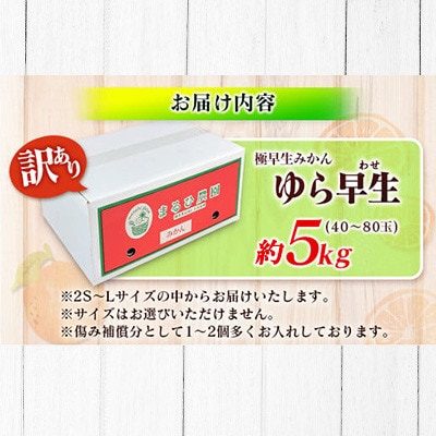 訳あり 数量限定 極早生 みかん ゆら早生 約5kg 期間限定
