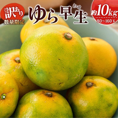 訳あり 数量限定 極早生 みかん ゆら早生 約10kg 期間限定