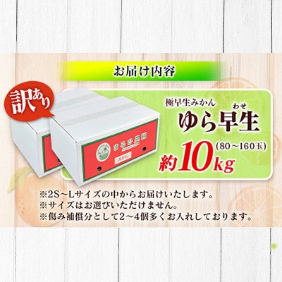 訳あり 数量限定 極早生 みかん ゆら早生 約10kg 期間限定