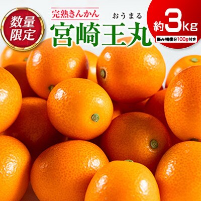 【数量限定】完熟きんかん 宮崎王丸 約3kg 傷み補償分100g付き