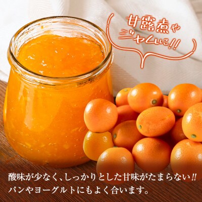 【数量限定】完熟きんかん 宮崎王丸 約3kg 傷み補償分100g付き
