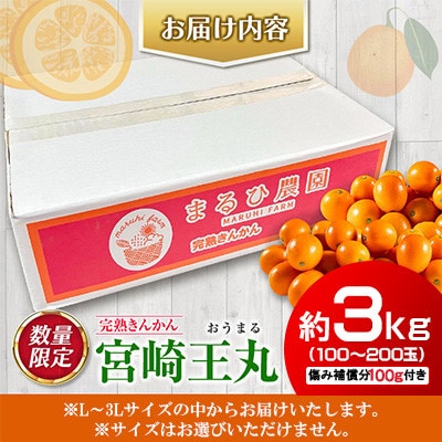 【数量限定】完熟きんかん 宮崎王丸 約3kg 傷み補償分100g付き