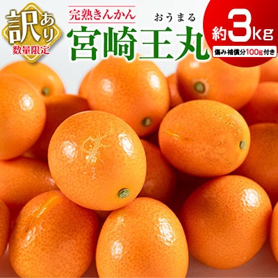 訳あり 数量限定 完熟きんかん 宮崎王丸 約3kg 傷み補償分100g付き