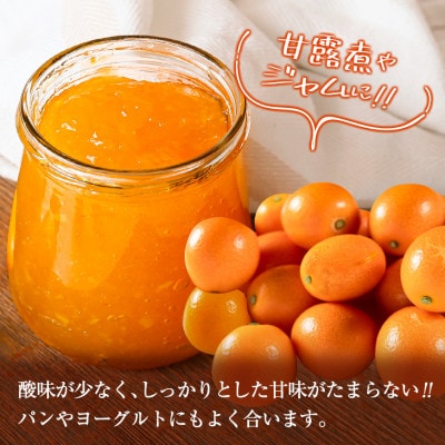 訳あり 数量限定 完熟きんかん 宮崎王丸 約3kg 傷み補償分100g付き