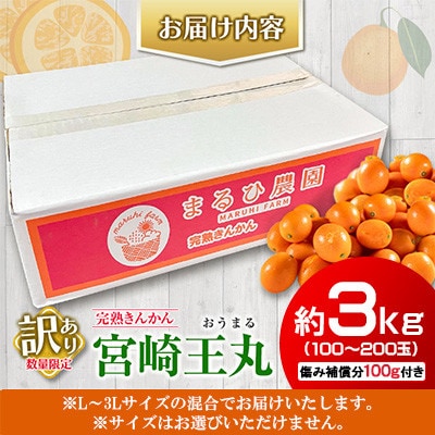 訳あり 数量限定 完熟きんかん 宮崎王丸 約3kg 傷み補償分100g付き