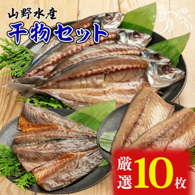 山野水産 干物 セット 10枚 詰め合わせ