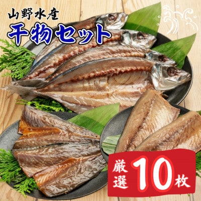 山野水産 干物 セット 10枚 詰め合わせ