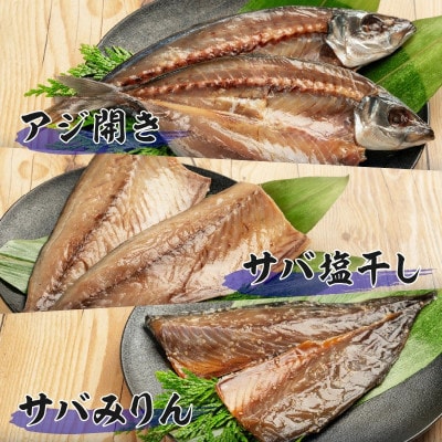 山野水産 干物 セット 10枚 詰め合わせ