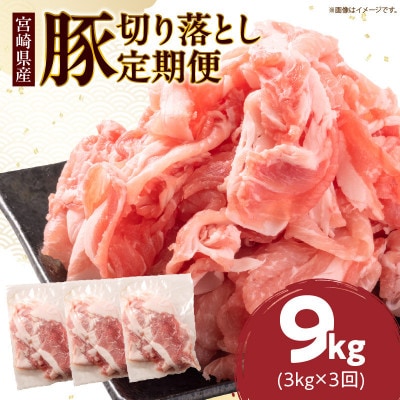 【毎月定期便】小分けで便利 豚切り落とし(計3kg) 総重量9kg お楽しみ定期便全3回