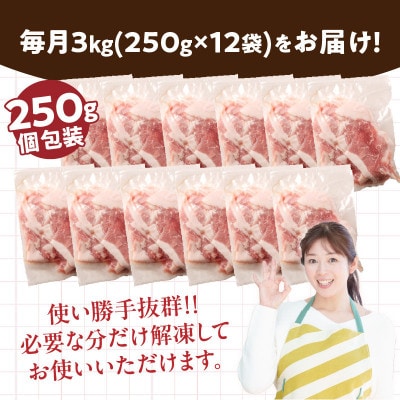 【毎月定期便】小分けで便利 豚切り落とし(計3kg) 総重量18kg お楽しみ定期便全6回