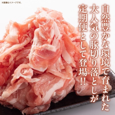 【毎月定期便】小分けで便利 豚切り落とし(計3kg) 総重量36kg お楽しみ定期便全12回