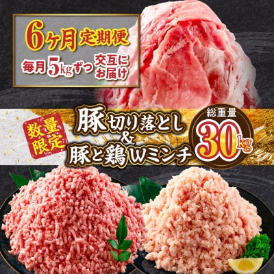 【毎月定期便】【数量限定】お楽しみ定期便 豚肉・鶏肉ミンチ 豚切り落としセット 総重量30kg全6回