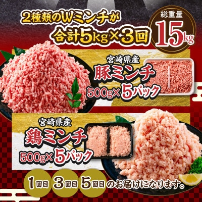【毎月定期便】【数量限定】お楽しみ定期便 豚肉・鶏肉ミンチ 豚切り落としセット 総重量30kg全6回