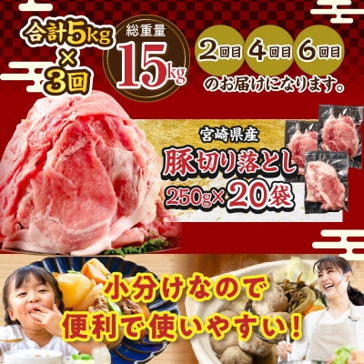 【毎月定期便】【数量限定】お楽しみ定期便 豚肉・鶏肉ミンチ 豚切り落としセット 総重量30kg全6回