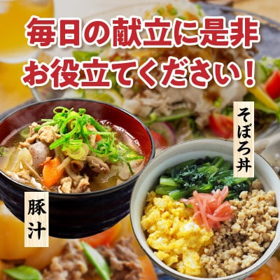 【毎月定期便】【数量限定】お楽しみ定期便 豚肉・鶏肉ミンチ 豚切り落としセット 総重量30kg全6回