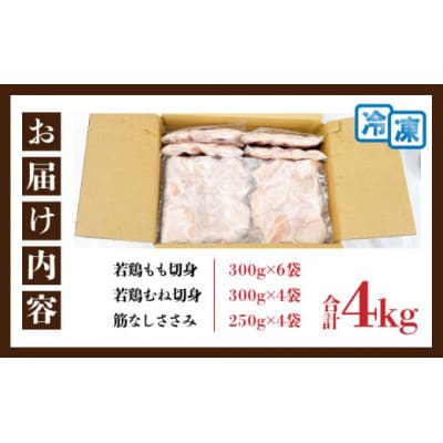 若鶏 ビックセット 合計4kg(日南市)