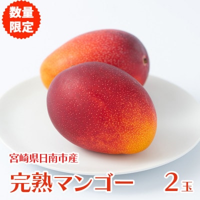 宮崎県日南市産 完熟マンゴー2玉【日南市】
