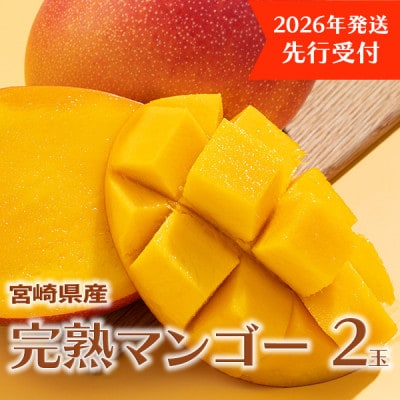 【先行受付】宮崎県日南市産 完熟マンゴー2玉【日南市】(R8年4月上旬以降順次発送)