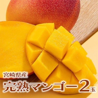 【先行受付】宮崎県日南市産 完熟マンゴー2玉【日南市】(R8年4月上旬以降順次発送)