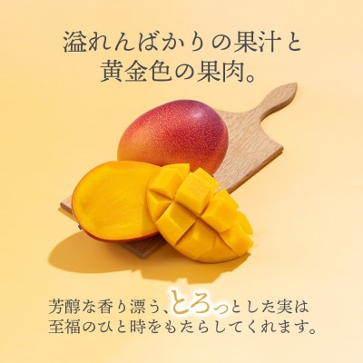 宮崎県日南市産 完熟マンゴー2玉【日南市】