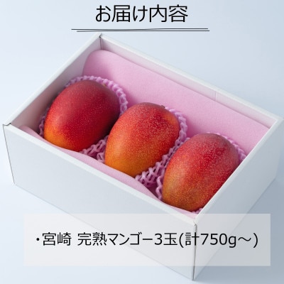 宮崎県日南市産 完熟マンゴー3玉【日南市】(R8年4月上旬以降順次発送)
