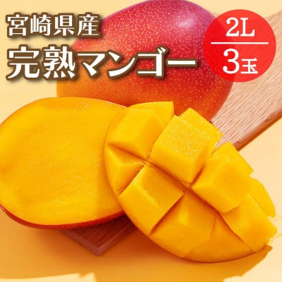 宮崎県日南市産 完熟マンゴー2L3玉【日南市】(R8年4月中旬以降順次発送)