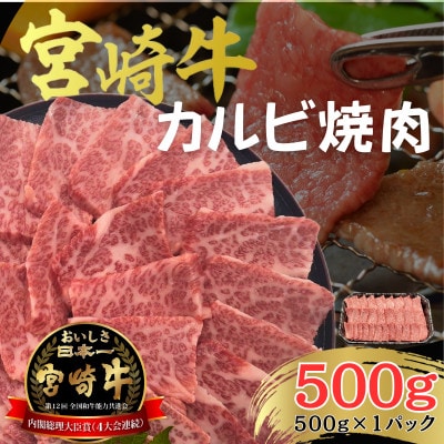 宮崎牛 A4～5ランク 焼肉・バーベキュー用 カルビ (バラ肉) 500g