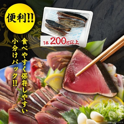 日南水揚げ天然かつおのたたき約1kg