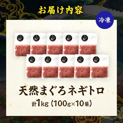 日南市油津港水揚げ 天然 まぐろ ネギトロ(計1kg)