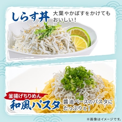 豊後の海の風味　口いっぱいに広がる新鮮な味わい　漁師のぶっかけしらす丼&釜揚げちりめん