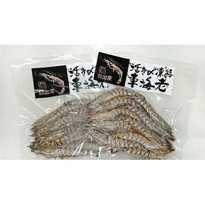 お刺身用大神の活き〆車海老400g