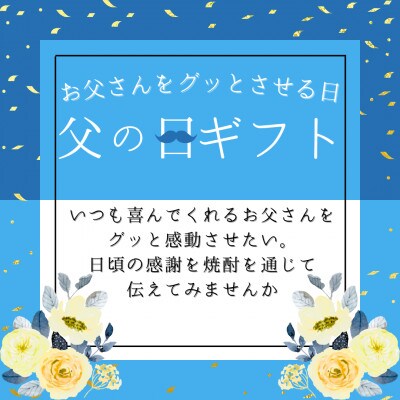 【父の日】大分むぎ焼酎 二階堂20度(900ml) 2本セット