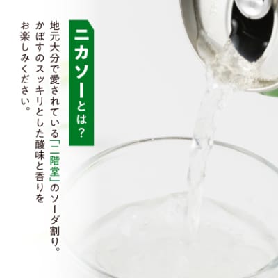 【大分限定】大分むぎ焼酎 二階堂 #ニカソー缶カボス 350ml×24本
