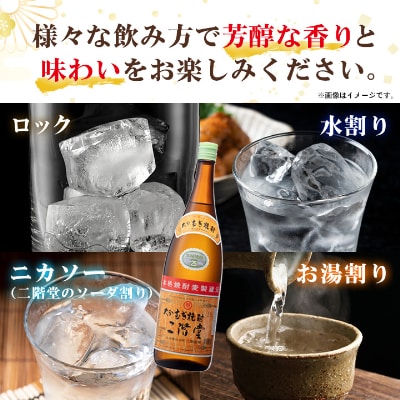 【2ヵ月毎定期便】大分むぎ焼酎二階堂(25度(1.8L)×6本) 全6回